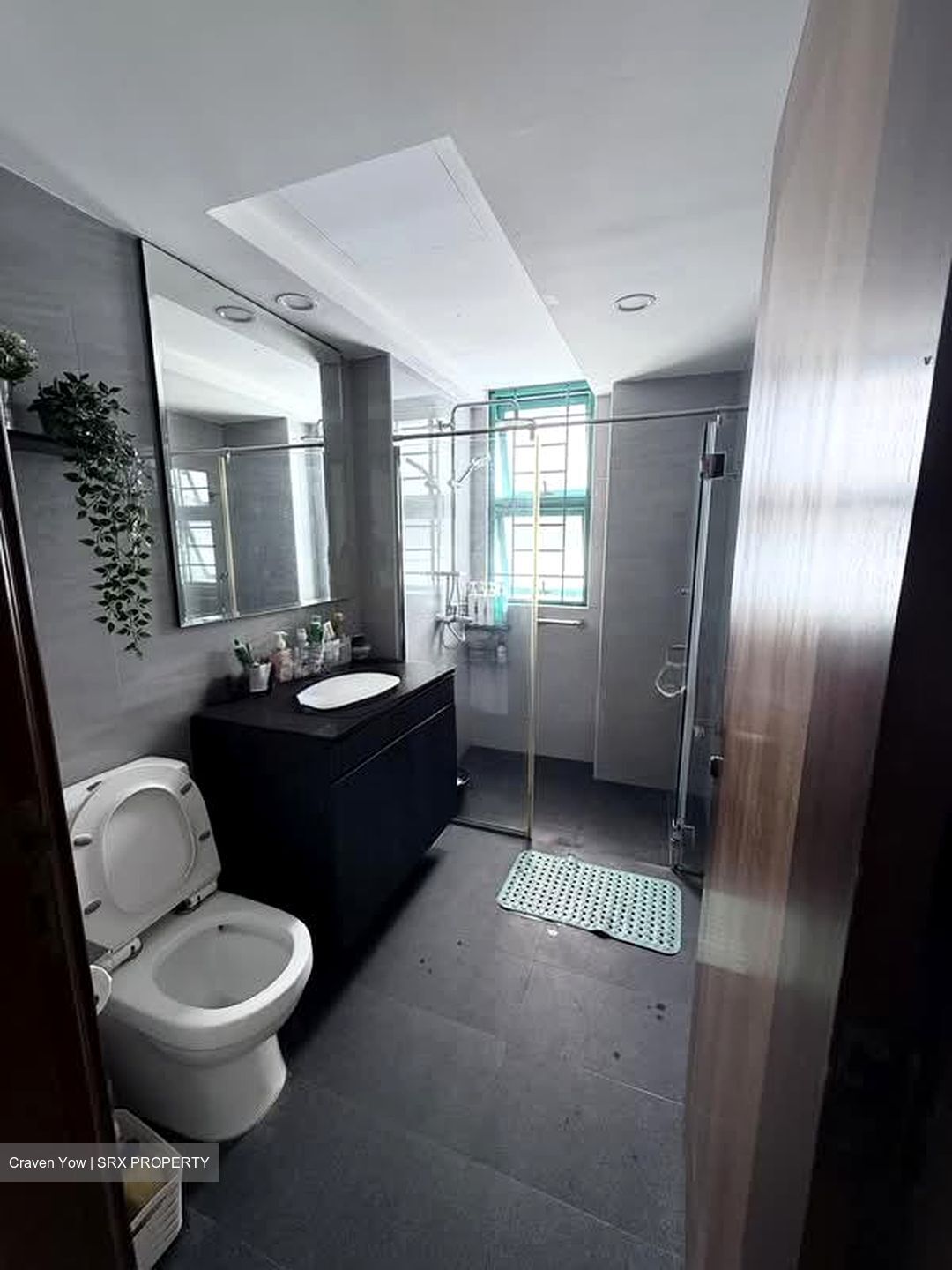 Celadon View (D17), Apartment #549004461